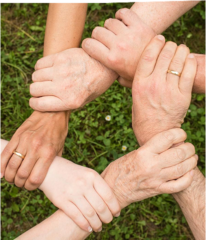 Six hands, each gripping another's wrist in a circular formation, are held over green grass. Some hands are wearing wedding rings.