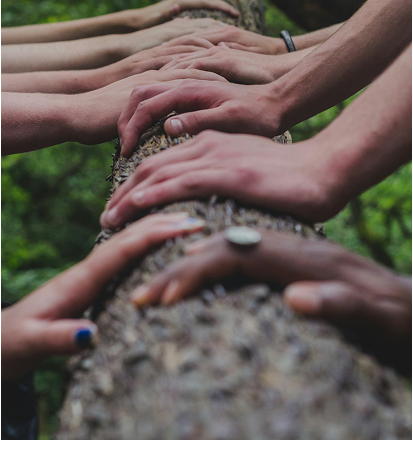 Several hands are placed on top of each other in a line outdoors, with a natural green background visible behind them.