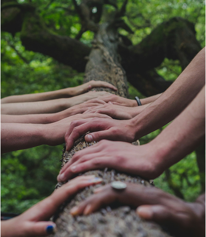 A group of people place their hands on a tree trunk outdoors, with a green forest background.