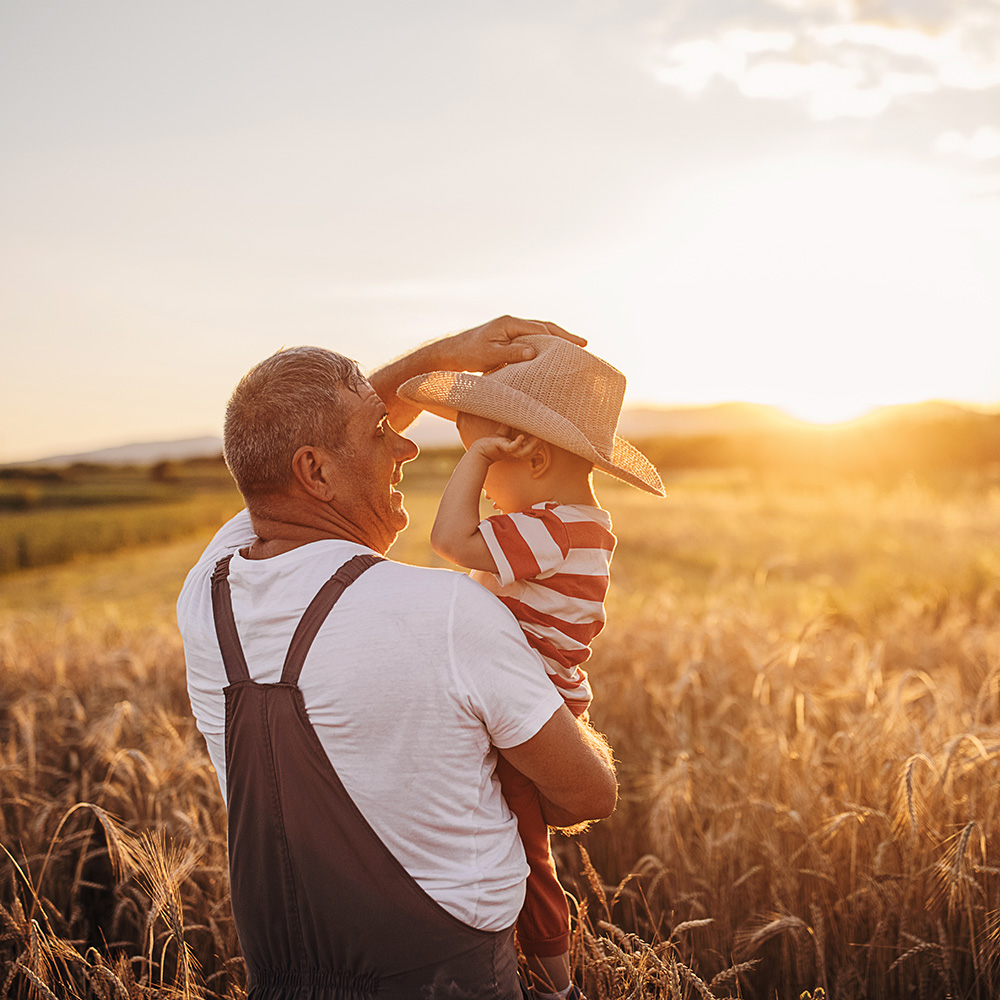 An older man holding a child in a wheat field at sunset.