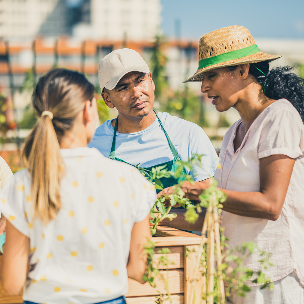 A group of people working in a garden.