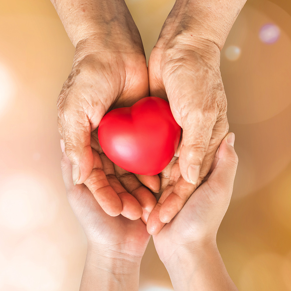 Two hands holding a red heart on a bokeh background.